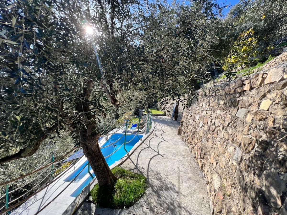Villa Di Campagna Con Vista Mare 5 Camere Da Letto Pampara Dış mekan fotoğraf